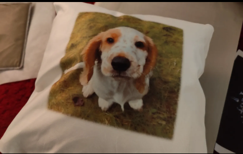Cushion printed with a photograph of a spaniel