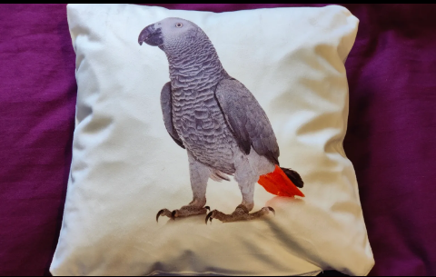 Cushion printed with a photograph of an African grey parrot