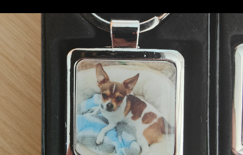 Boxed photo keyring showing a chihuahua