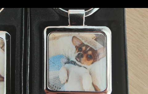 Boxed photo keyring showing a small dog in a hat